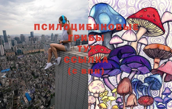 гашиш Горнозаводск